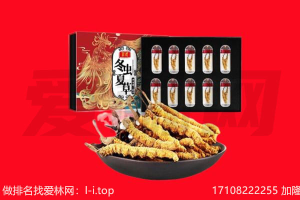 珠海市金湾回收虫草.jpg